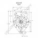 8AR2169F | PRESTOLITE LEECE NEVILLE | ALTERNATOR 12V 37A 8AR2169F 110-629