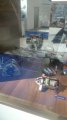 Targi motoryzacyjne, MIMS Automechanika - Moskwa 2015, Alternatory i Rozruszniki Osiński