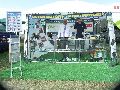 Opolagra 2012